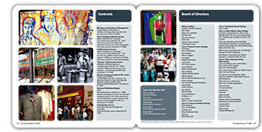 LES annual report spread